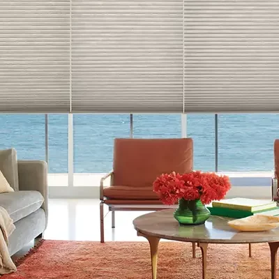 Window Treatment | Chesapeake Family Flooring